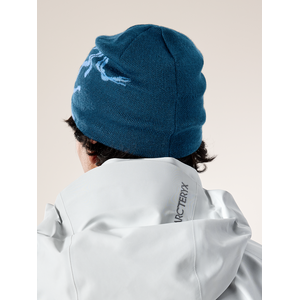 Arc'teryx Bird Head Toque