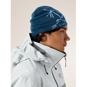 Arc'teryx Bird Head Toque
