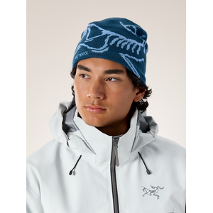 Arc'teryx Bird Head Toque
