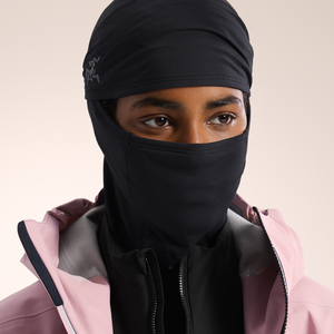 Arc'teryx Rho Balaclava