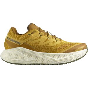 Salomon Aero Glide 3 Gravel Mens