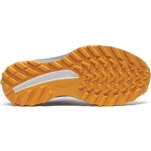 Saucony Ride TR2 Mens