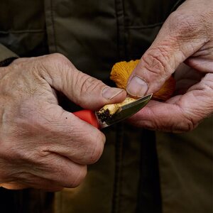 Marttiini Mushroom Knife Ruska