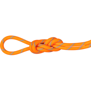 Mammut 8.7 Alpine Sender Dry Standard Rope