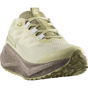 Salomon Aero Blaze 3 Gravel GTX Womens