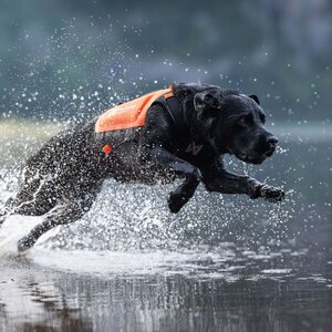 Non-stop Dogwear Protector Neoprene Vest