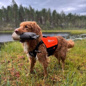 Non-stop Dogwear Protector Neoprene Vest