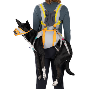 Ruffwear BackTrak Evacuation Kit