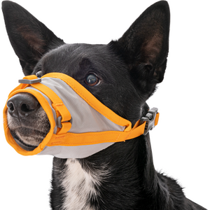 Ruffwear BackTrak Evacuation Kit