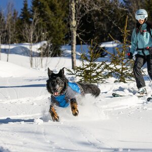 Ruffwear Powder Hound Jacket