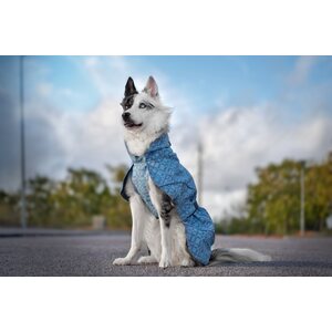 Beana Stormrider Raincoat