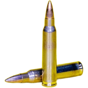 Swiss P .223 Rem DS-1 3,6/55gr FMJ 50kpl