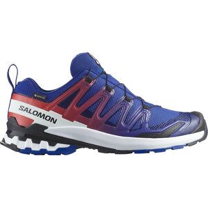Salomon XA PRO 3D V9 GTX Equipe Capsule