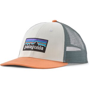 Patagonia P-6 Logo LoPro Trucker Hat