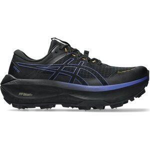 Asics Fujisetsu Max GTX Mens