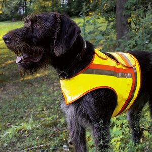 Dogs Reflector Vest