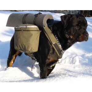 Jeri Dog backbag