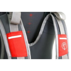 LittleLife Voyager S2