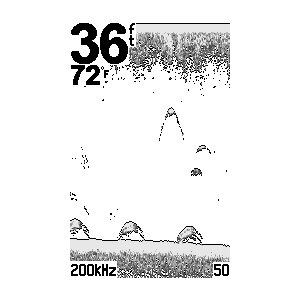 Garmin Echo 100