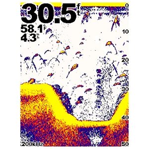 Garmin Echo 500c