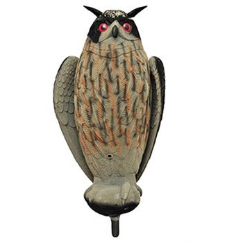 Eagle Owl Decoys
