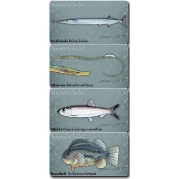 Sakke Yrjölä Salt water fish I -magnet set 4pcs/set