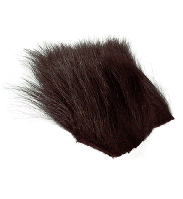Black Bear Hair