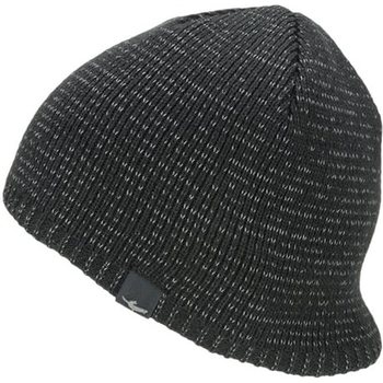 Sealskinz Waterproof Cold Weather Reflective Beanie