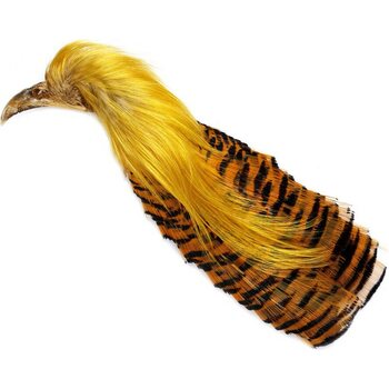 Veniard Golden Pheasant No 2 complete head