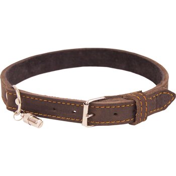 Collar Riveted Oil Leather