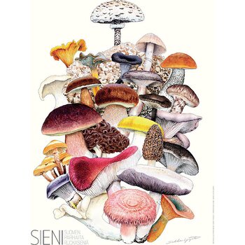 Sakke Yrjölä The best edible mushrooms poster, 30 x 40 cm