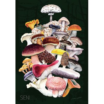 Sakke Yrjölä The best edible mushrooms -poster, 50 x 70 cm