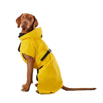 Paikka Visibility Raincoat Lite for Dogs
