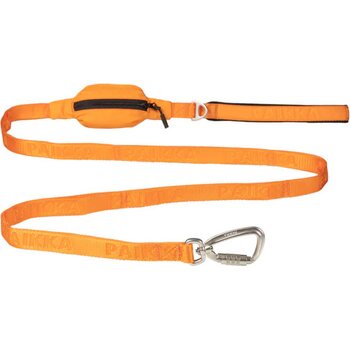 Paikka Visibility Leash for Dogs