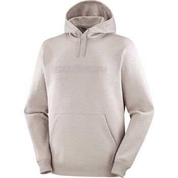 Salomon Big Logo Hoodie Mens