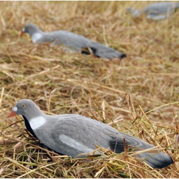Live Decoys Pigeon (shell)