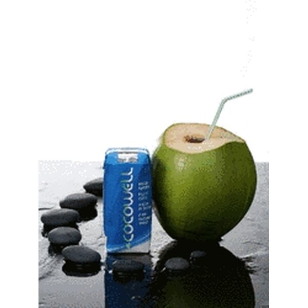 Cocowell Premium Coconut Water 330ml Drinks English