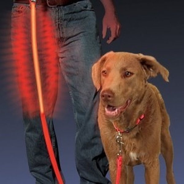 NiteIze LED walking leash