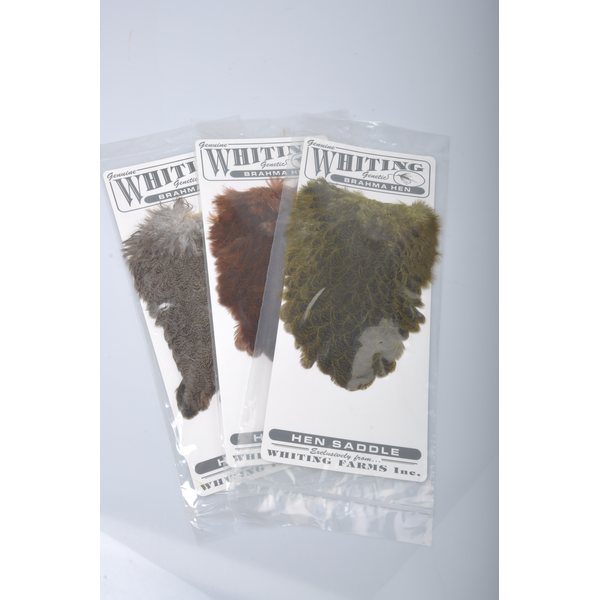 Whiting Brahma Hen Saddle