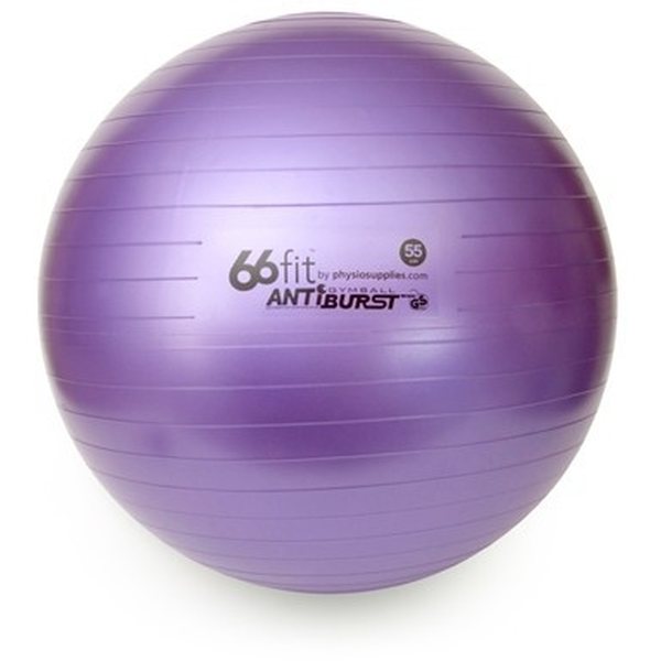 66fit Gym Ball 55cm with Pump & DVD