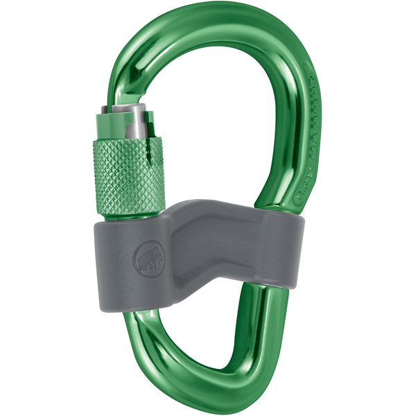 Mammut Element Smart HMS Safety Gate Green