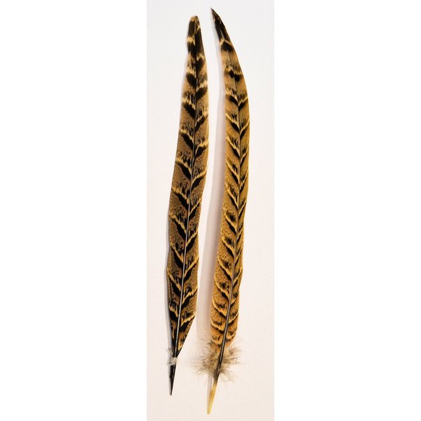 Veniard Pheasant tail feather 2pcs
