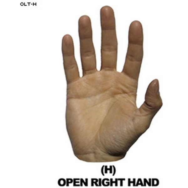 Law Enforcement Targets Open Right Hand Hand Overlay