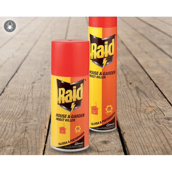 Raid House & Garden -aerosoli, 150 ml