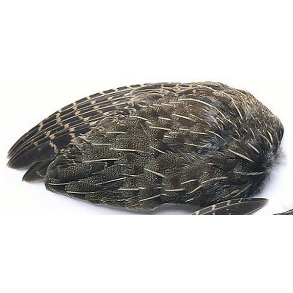 Veniard English Partridge Wings