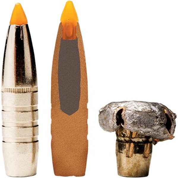 Federal .30-06 Sprg Trophy Bonded Tip 11,7g / 180grs 20
