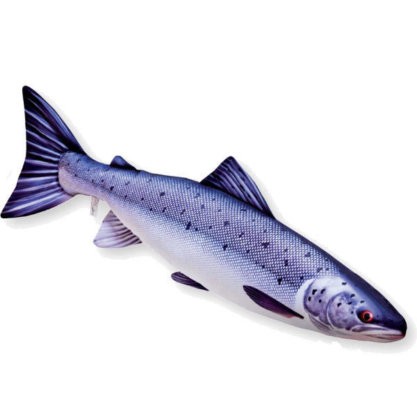 Salmon 90cm