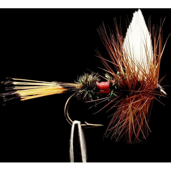 Superflies Royal Coachman