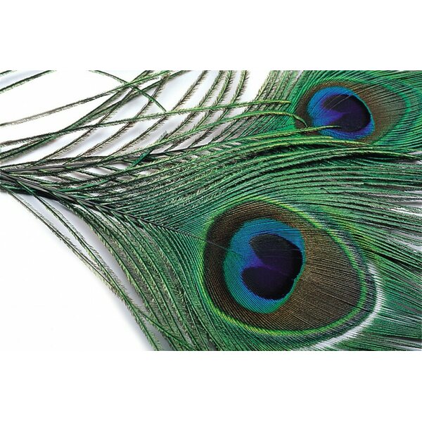 Veniard Peacock eye top