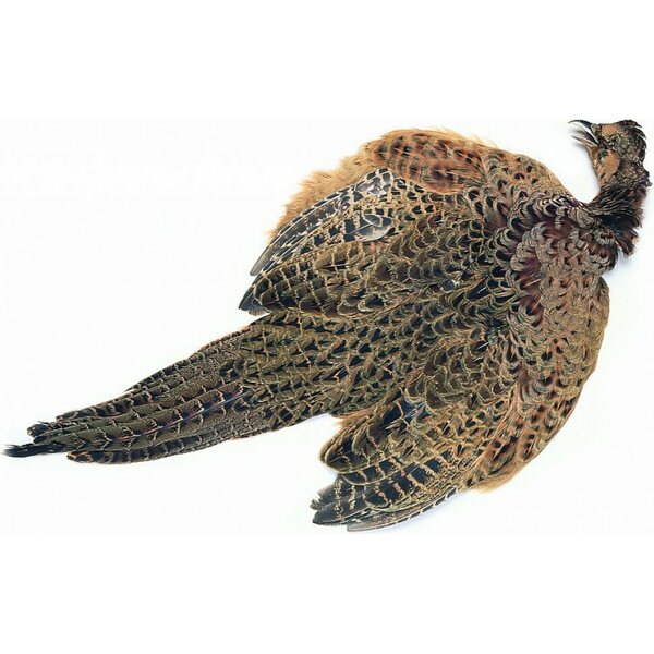 Veniard Pheasant Hen Ringneck Complete Skin